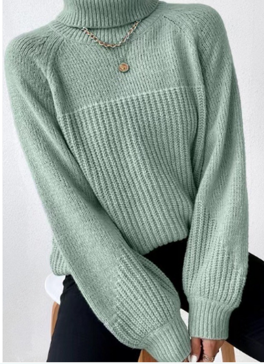 Knit turtleneck sweater