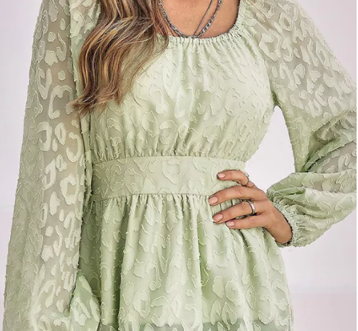 Texture Elastic Waist Puff Sleeve Blouse
