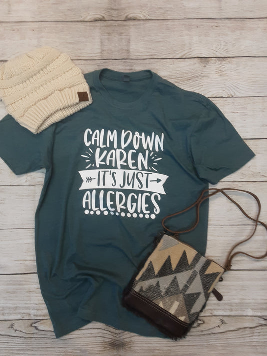 Calm Down Karen, It's Just Allergies T-Shirt in Steel Blue